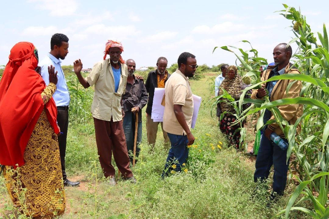 Development of Agriculture and Livestock Services around Water Points 